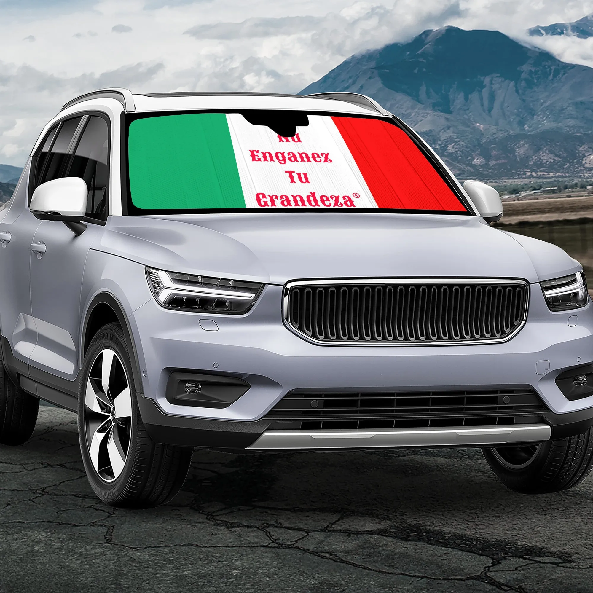 Espanol  Auto Sun Shades